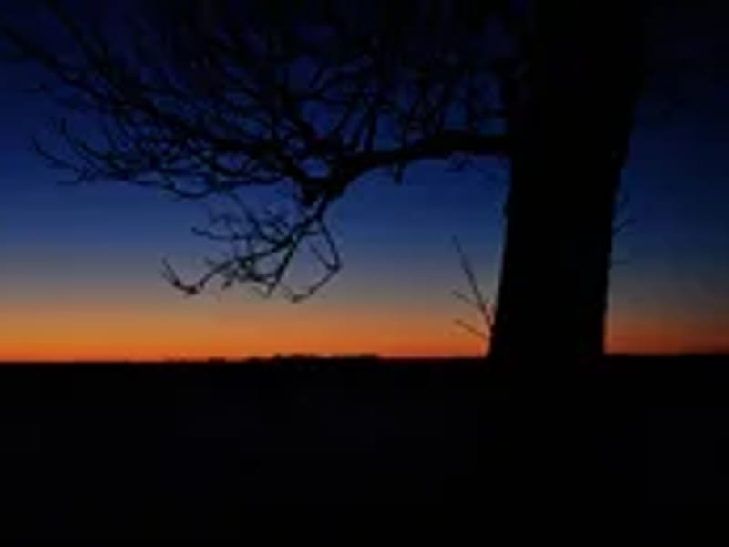 Gyllengården - Äldreboende in Ovanåker, Gävleborgs län photo 1
