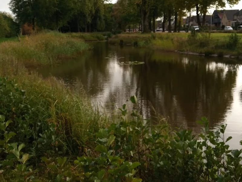 Stichting ZuidOostZorg/Locatie De Wiken - Begeleid Wonen in Drachten, Drenthe photo 8