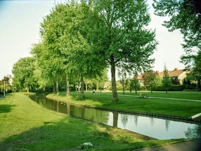 Stichting ZuidOostZorg/Locatie De Wiken - Begeleid Wonen in Drachten, Drenthe photo 3