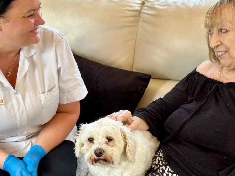 Anytime Care 2020 - In-Home Care in Romford, England photo 1