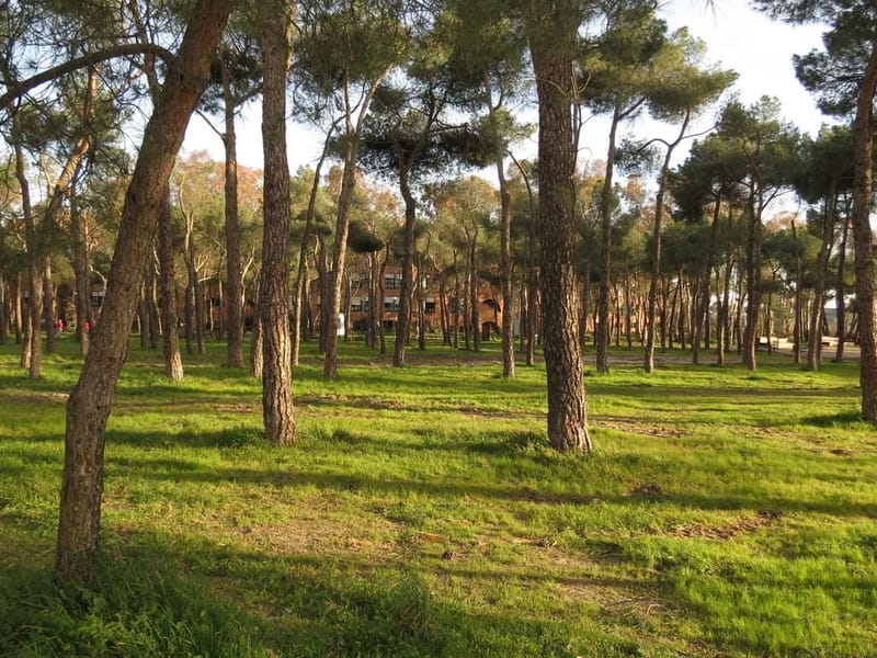Parque De Los Frailes, Centro De Dia - Centro de Día in Leganés, Madrid photo 2