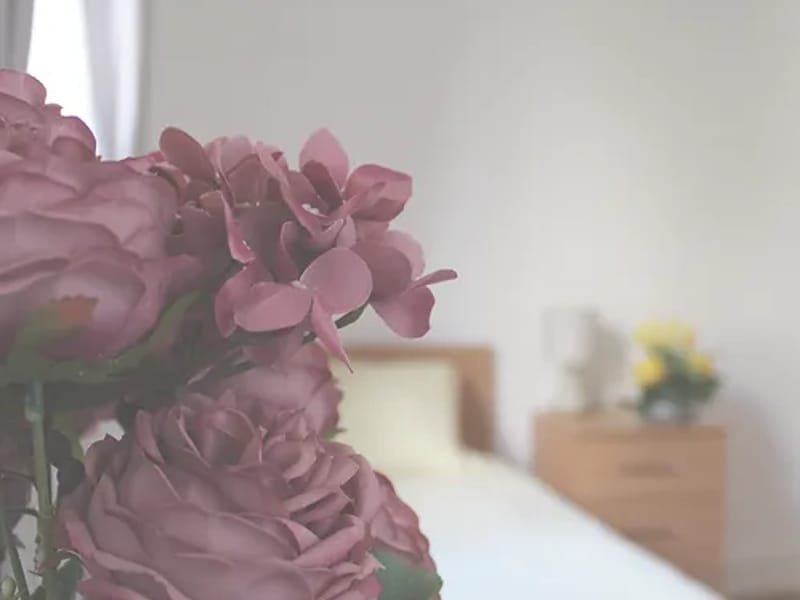 Blossom Hill Care Home - Assisted Living in Sunderland, England photo 2