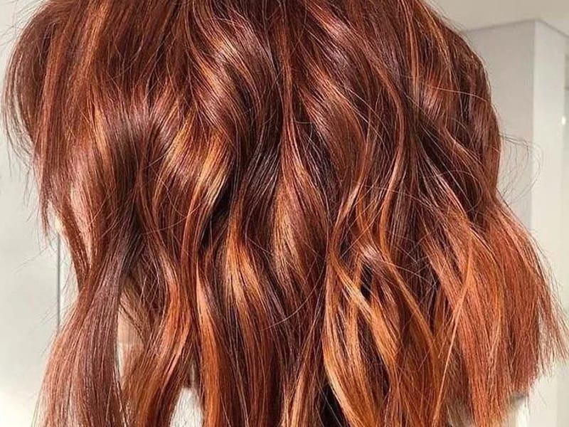 79 Carrier Court - Assisted Living in Auburn, ME photo 2