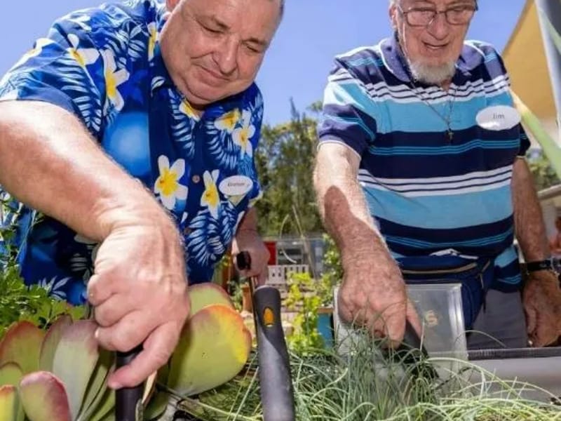 Omnicare Alliance Home Care Service - In-Home Care in Port Macquarie, NSW photo 9