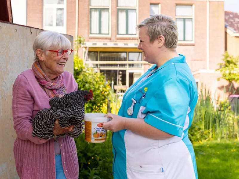 Thuiszorg Het Friese Land - Wijkverpleging in Leeuwarden, Fryslân photo 3