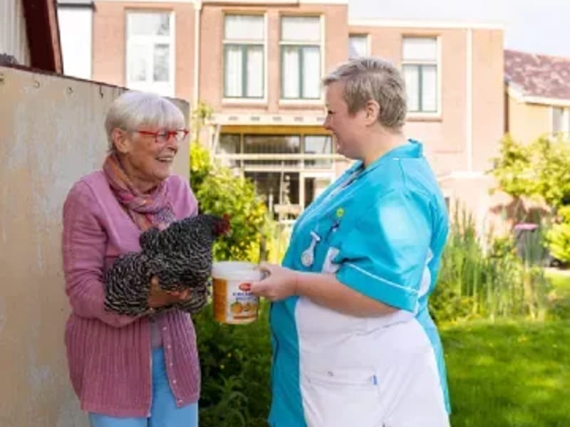 Thuiszorg Het Friese Land - Wijkverpleging in Leeuwarden, Fryslân photo 2