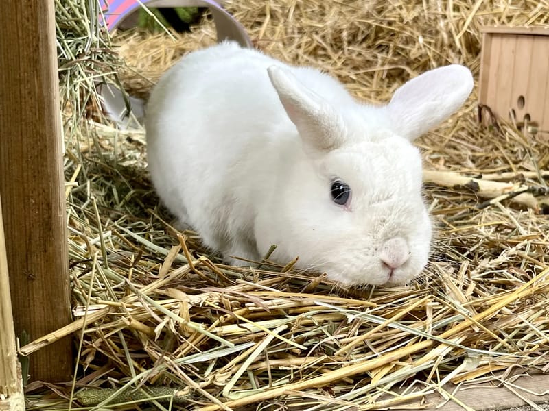 Dalbyhemmet - Äldreboende in Uppsala, Uppsala län photo 2