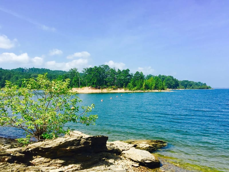Area Agency on Aging of West Central Arkansas - Medical Transport in Hot Springs, AR photo 2