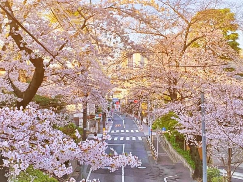 あすか桜坂 - 有料老人ホーム in 大田区, 東京都 photo 2