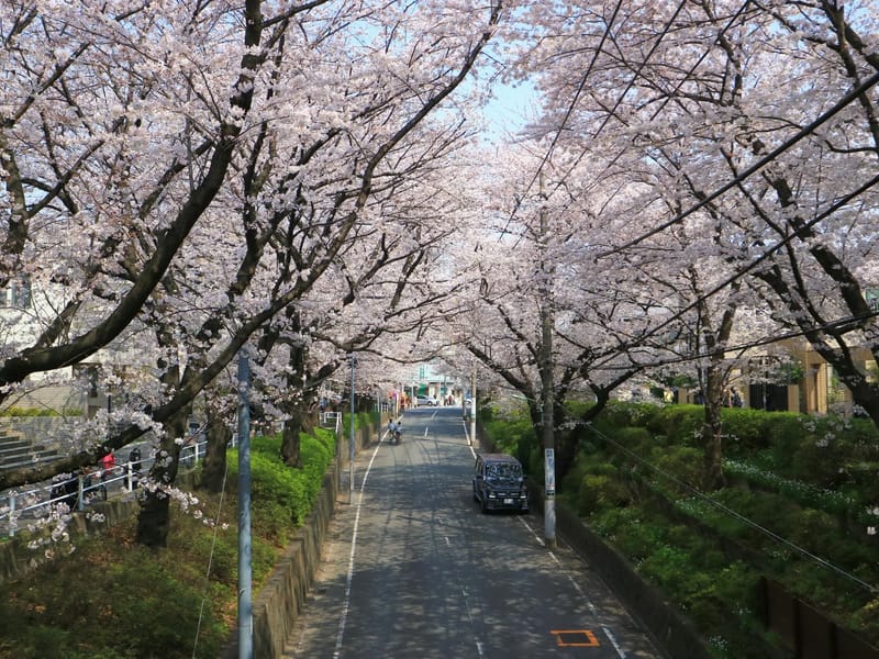 あすか桜坂 - 有料老人ホーム in 大田区, 東京都 photo 3