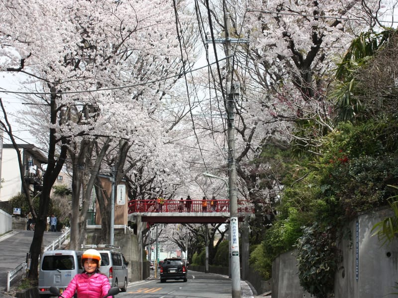 あすか桜坂 - 有料老人ホーム in 大田区, 東京都 photo 4