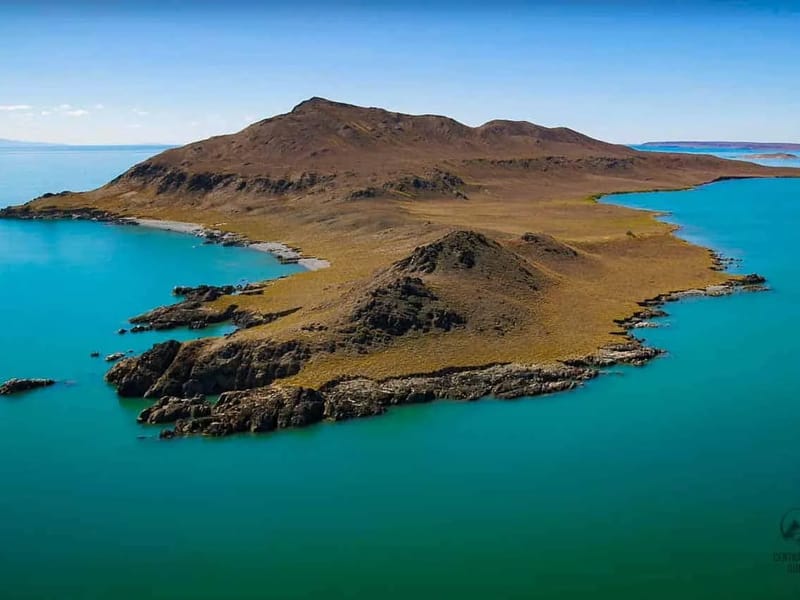 ALAQOL LLC - Home Health Nursing in Homewood, IL photo 2