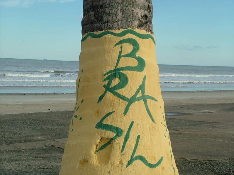 APAE MONGAGUA - Cuidado Domiciliar in Mongaguá, SP photo 1