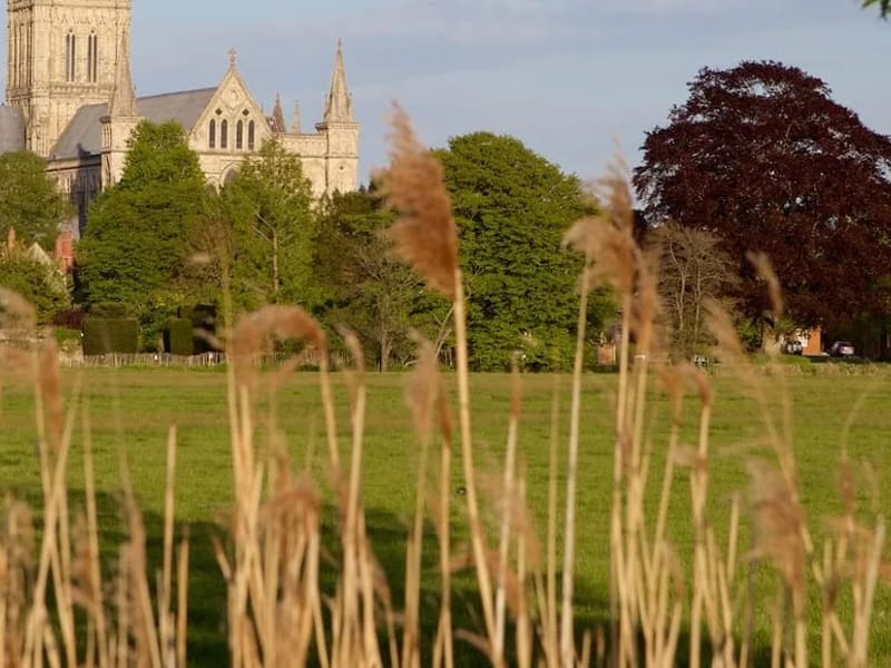 Grace 247 Care Wiltshire in Salisbury, England photo 2