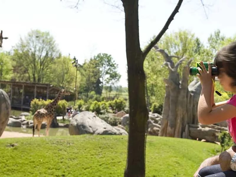 APP.TO DEL FARE INSIEME 'P.ZZA MOSTRA SUD' - Residenza Assistita in TRENTO, Trentino-Alto Adige photo 3