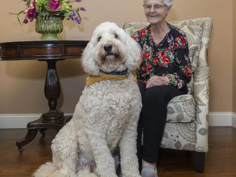 Lynmere Nursing Home - Nursing Home in Stockport, England photo 3