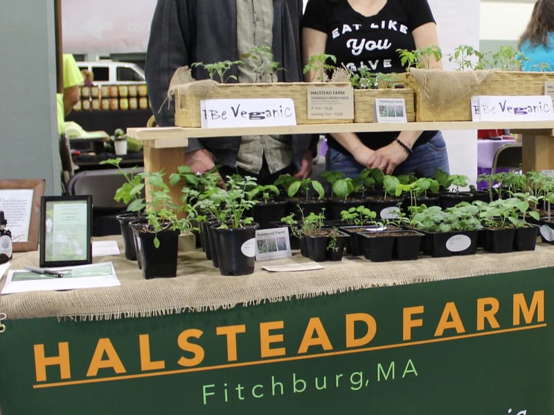 Blamster's Farm - Assisted Living in Halstead, England photo 1