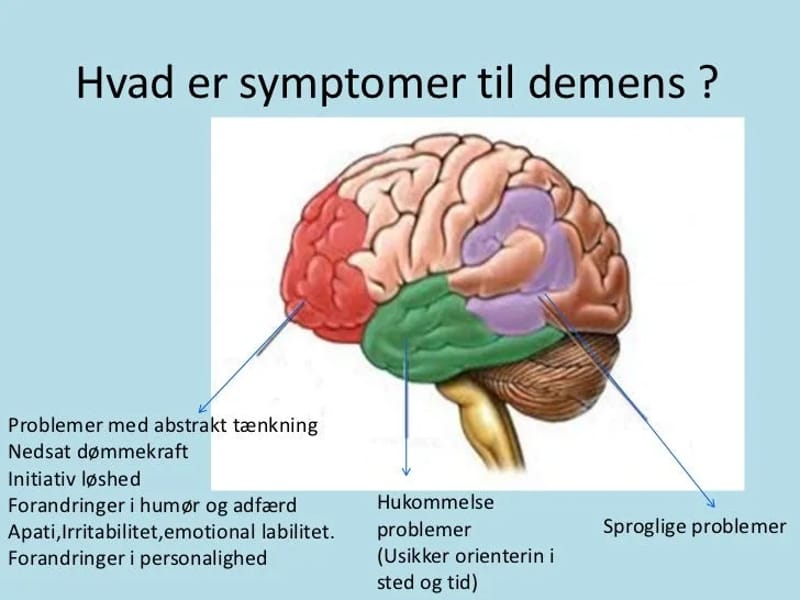 (Ikke i brug) Reg. Videnscenter Demens, ROS - Demenspleje in Roskilde, Region Sjaelland photo 3