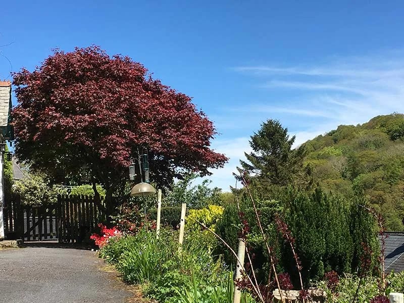 Lynton Lodge Hospital - Nursing Home in Auckland, Auckland District Health Board photo 2