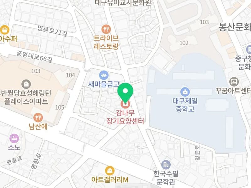감나무 장기요양센터 - 방문요양 in 중구, 대구광역시 photo 1