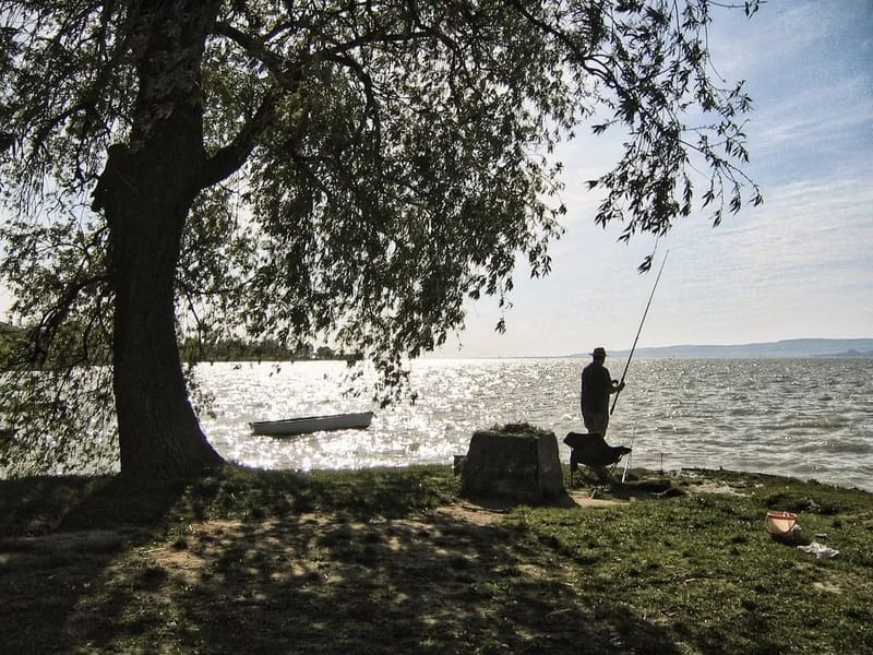 Enhet Gunnarskog - Äldreboende in Arvika, Värmlands län photo 4