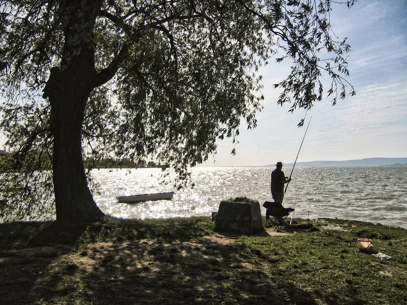 Enhet Gunnarskog - Äldreboende in Arvika, Värmlands län photo 2