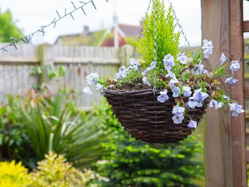 Bowes House - Nursing Home in Hailsham, England photo 3