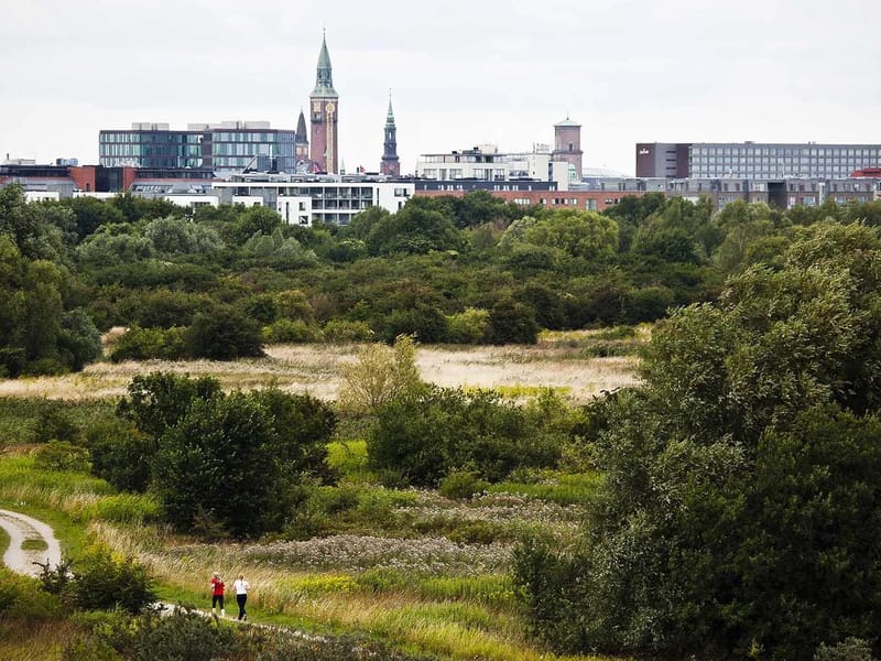 Amager Fælled Ungehjem in København S, Region Hovedstaden photo 2