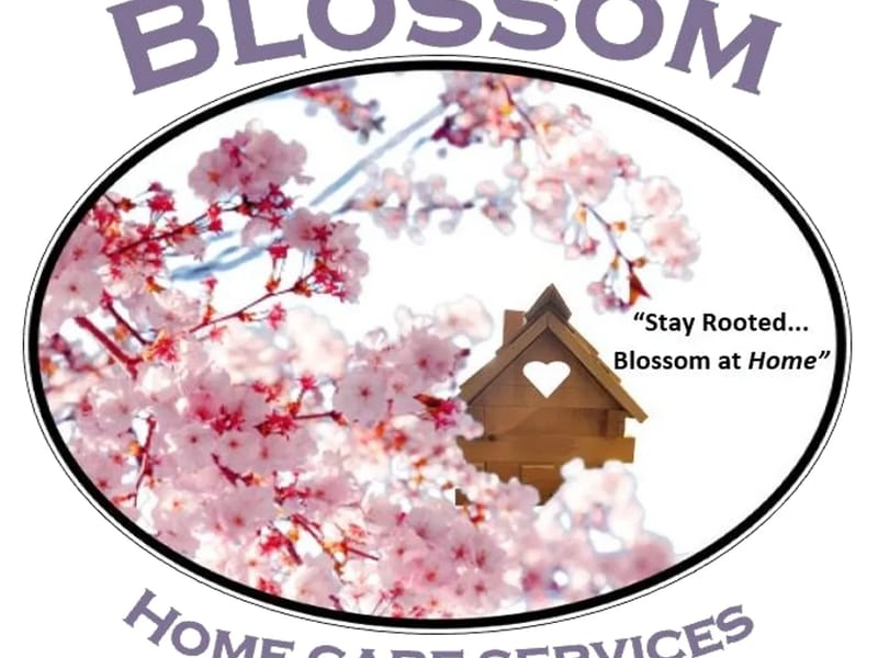 A Plus Blossom Home Care,LLC - Home Health Nursing in Cave Creek, AZ photo 1