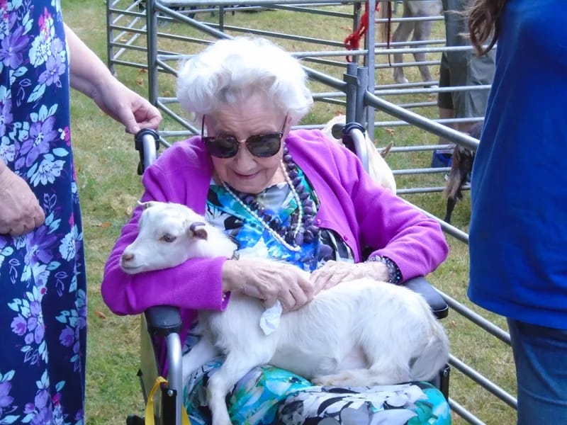 Laurel Dene - Nursing Home in Hampton, England photo 2