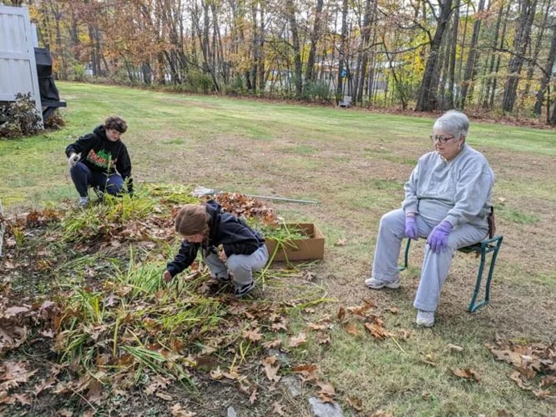 Carerose Cares Ltd - In-Home Care in Colchester, England photo 1