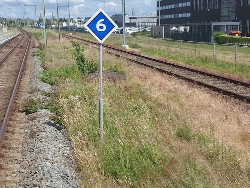 Stichting Gors - Begeleid Wonen in Goes, Noord-Brabant photo 3