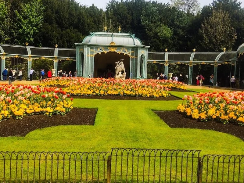 Bloomscare Ltd - In-Home Care in Aylesbury, England photo 1