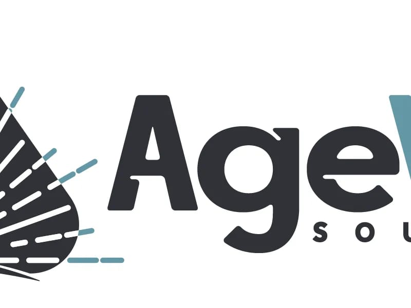Age Well South Bay, LLC - Geriatric Care Management in Torrance, CA photo 2