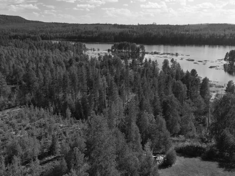 Rusksele Hemtjänst - Hemtjänst in Lycksele, Västerbottens län photo 1