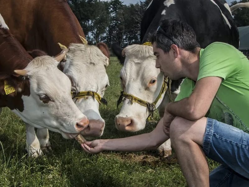 SZZ - Begeleid Wonen in Waalwijk, Noord-Brabant photo 1