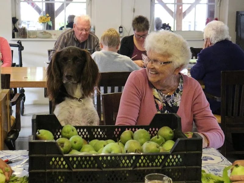 SZZ - Begeleid Wonen in Waalwijk, Noord-Brabant photo 8