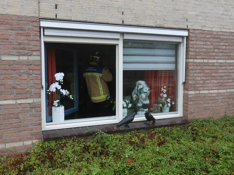 Vonderhof - Begeleid Wonen in Eindhoven, Zeeland photo 2