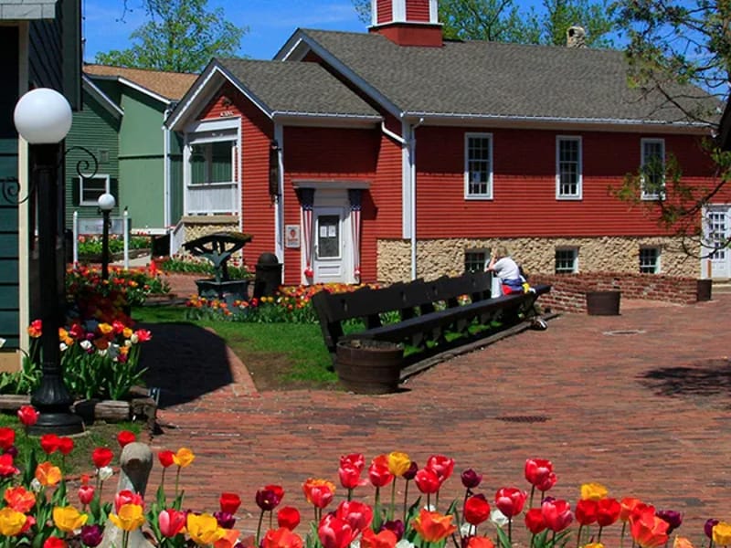 Arboria Of Long Grove Llc - Assisted Living in Long Grove, IL photo 2