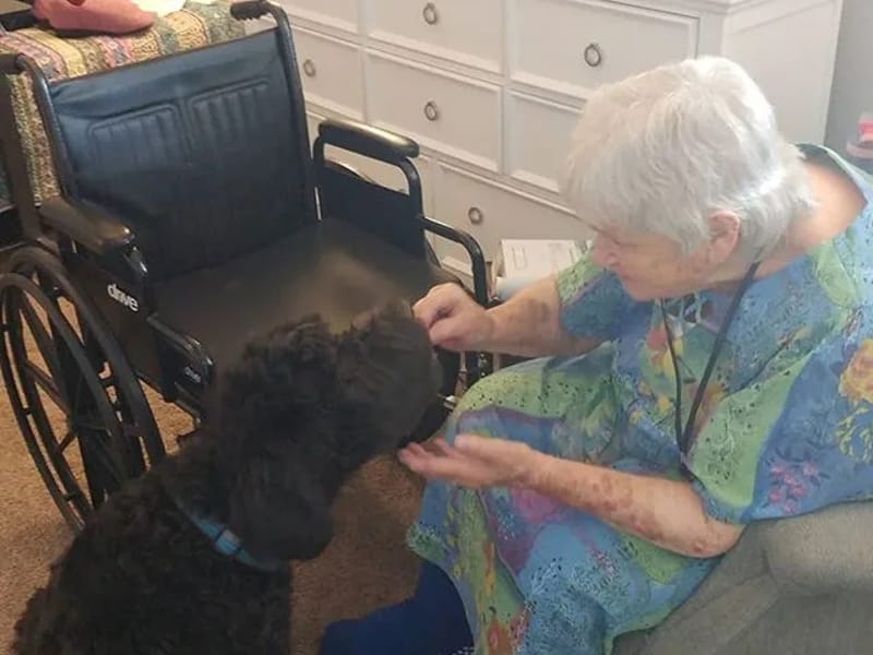 Richmond Hills Assisted Living Facility Llc - Assisted Living in Phoenix, AZ photo 1