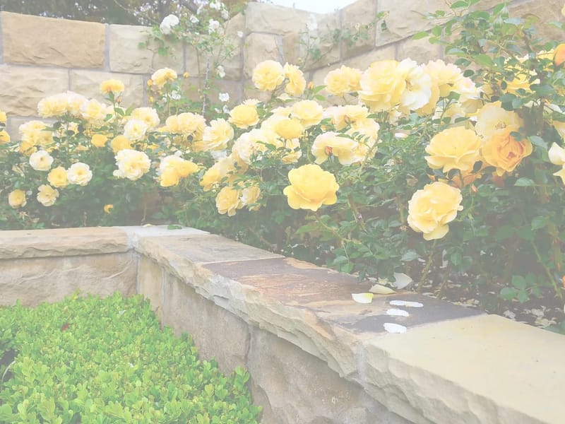 Rose Farm - Assisted Living in Doncaster, England photo 4