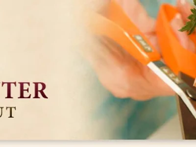 Emergency Physicians Of Connecticut PC - Home Health Nursing in Waterbury, CT photo 2