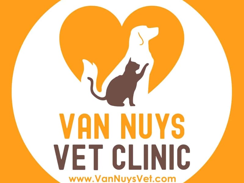 Always Best Home Care - Home Health Nursing in Van Nuys, CA photo 2