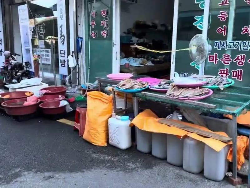 녹동어울림 in 고흥군, 전라남도 photo 1