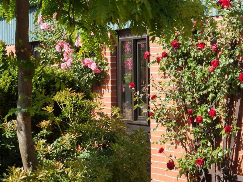 Taieri Court Rest Home - Nursing Home in Mosgiel, Southern District Health Board photo 1