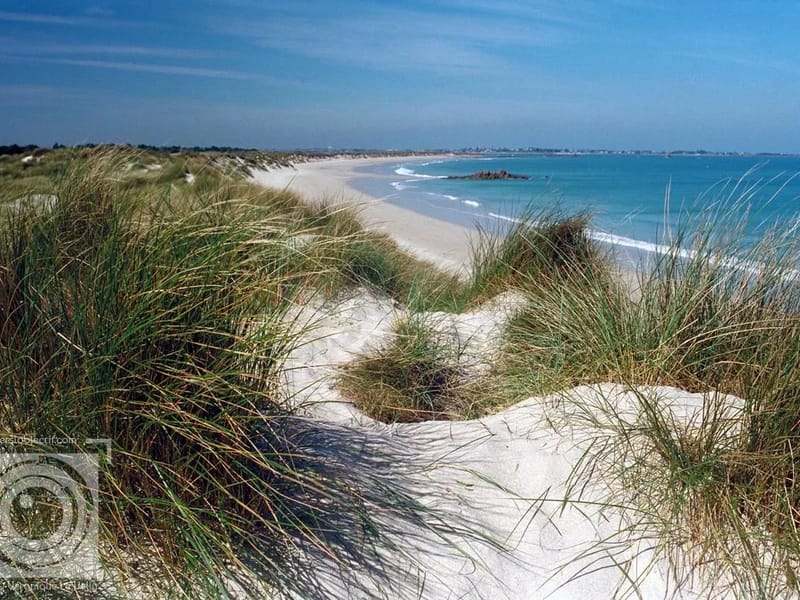 The Dunes - Assisted Living in Poole, England photo 2
