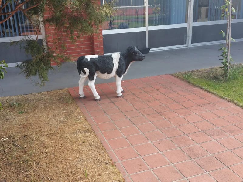 Rosary Gardens - Assisted Living in New Town, TAS photo 3