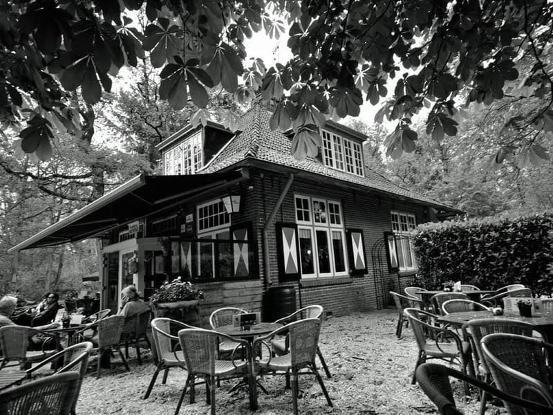 Boshuis - Begeleid Wonen in Tilburg, Noord-Brabant photo 2