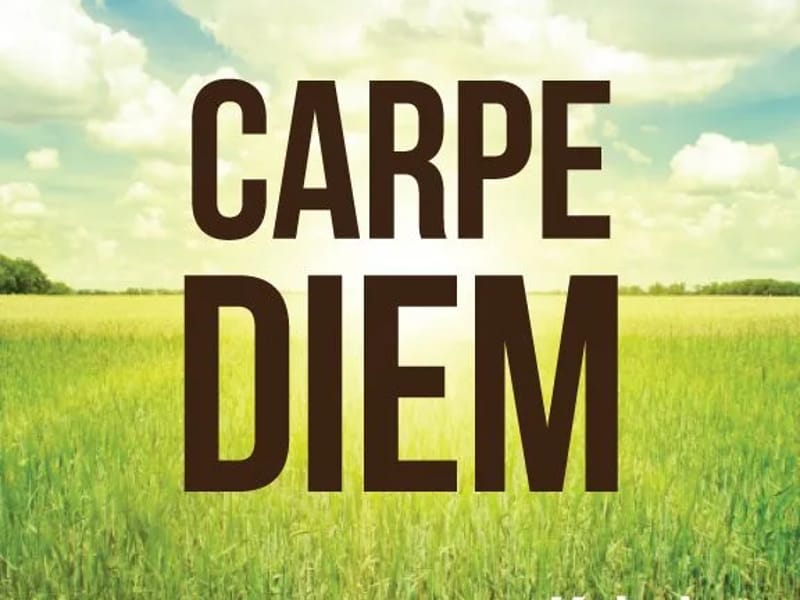 Holepam Carpe Diem - Vida Asistida in SANTA FE, SANTA FE photo 3