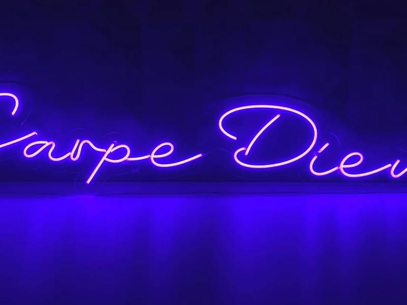 Holepam Carpe Diem - Vida Asistida in SANTA FE, SANTA FE photo 2